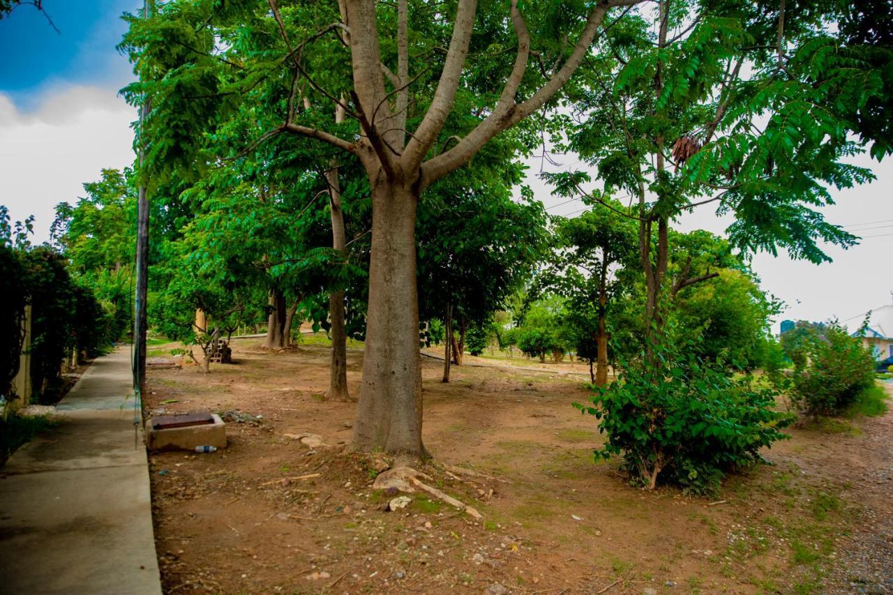 Sanctuary Aparthotel-Ac-Garden- Solar-Wi-Fi -Firepit-Park-Carport لوساكا المظهر الخارجي الصورة