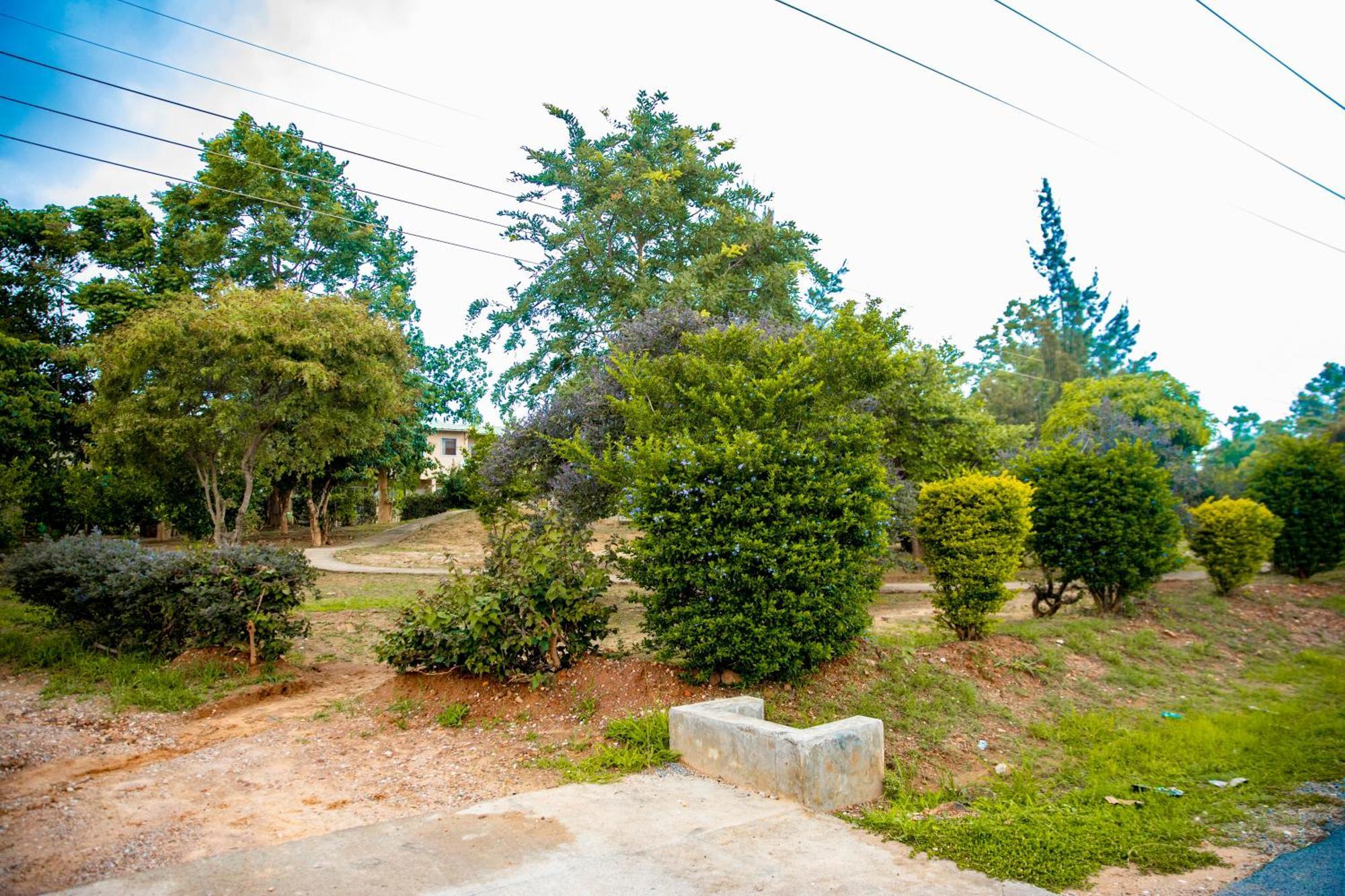 Sanctuary Aparthotel-Ac-Garden- Solar-Wi-Fi -Firepit-Park-Carport لوساكا المظهر الخارجي الصورة
