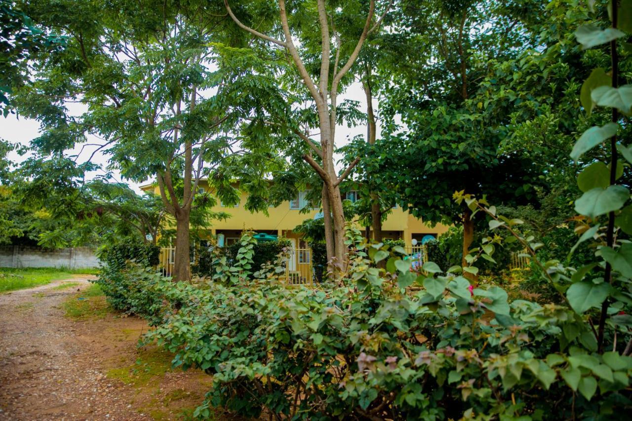 Sanctuary Aparthotel-Ac-Garden- Solar-Wi-Fi -Firepit-Park-Carport لوساكا المظهر الخارجي الصورة